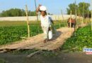 উল্লাপাড়ায় কালিগঞ্জ খেয়া ঘাটে নৌকার পরিবর্তে বাঁশ-কাঠের সাঁকোয় পারাপার