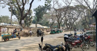 পোস্টারহীন নির্বাচনে বদলে গেছে সিরাজগঞ্জ-৩ আসনের চিত্র