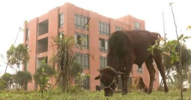 উল্লাপাড়ায় ৩ বছরেও চালু হয়নি দূরপাল্লার ট্রাক চালকদের বিশ্রামাগার