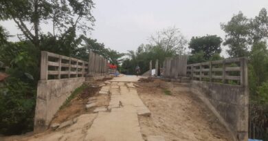 উল্লাপাড়ায় সেতু নির্মাণ হলেও নেই সংযোগ সড়ক অপেক্ষায় ১০ গ্রামের মানুষ