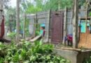 উল্লাপাড়ায় কালবৈশাখী ঝড়ে ঘরের উপর গাছ পড়ে গৃহবধূর মৃত্যু