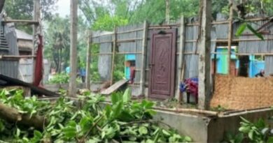 উল্লাপাড়ায় কালবৈশাখী ঝড়ে ঘরের উপর গাছ পড়ে গৃহবধূর মৃত্যু