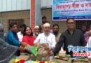 উল্লাপাড়ায় কৃষকদের মাঝে বিনামূল্যে বীজ ও সার বিতরণ