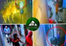 উল্লাপাড়ায় কোরবানির ঈদকে সামনে রেখে ছিনতাই-চাঁদাবাজি ও গরু চুরির হিড়িক