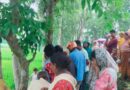 উল্লাপাড়ায় নবজাতকের লাশ উদ্ধার