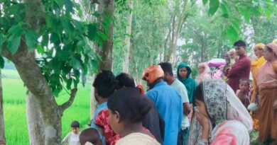 উল্লাপাড়ায় নবজাতকের লাশ উদ্ধার