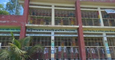 স্টুডেন্ট ভিসা নিয়ে অস্ট্রেলিয়ায় সরকারি প্রাথমিক বিদ্যালয়ে শিক্ষিকা