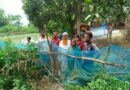 তাড়াশে গ্রাম্য বিরোধে একমাত্র রাস্তায় বেড়া দিয়ে অবরুদ্ধ দুটি পরিবার