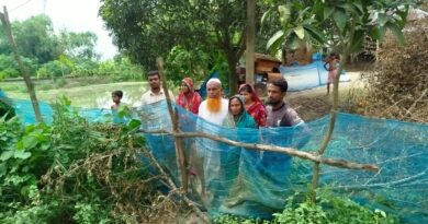 তাড়াশে গ্রাম্য বিরোধে একমাত্র রাস্তায় বেড়া দিয়ে অবরুদ্ধ দুটি পরিবার
